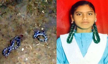 जहरीले सांप के काटने से जमीन पर सोई 12वीं की छात्रा की इलाज के दौरान मौत, गांव में पसरा मातम, फिंगेश्वर का मामला