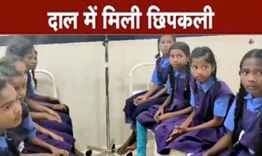 बच्चों के जान से खिलवाड़, मध्यान्ह भोजन के दाल में मिली छिपकली, 23 बच्चों की बिगड़ी तबीयत, आनन-फानन में अस्पताल किया में गया दाखिल