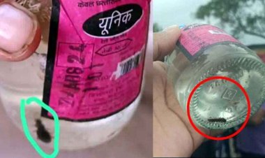 मदिरा दुकान से सील बंद बोतल में देसी शराब के साथ मिला कीड़ा, शराबियों ने मचाया हंगामा, मिलावटी दारु बेचने का लगाया आरोप