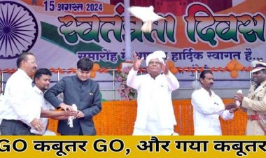 कबूतर तो बच गया, लेकिन एसपी साहब की कुर्सी उड़ गई, जानिये सिर्फ एक एसपी के ट्रांसफर के पीछे की कहानी, कहीं वजह यही तो नहीं?