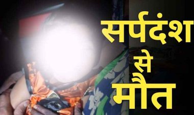 आधी रात को सो रहे बच्चे को सांप ने डसा, सर्प के डसने से मासूम की गई जान, 10 दिन में 3 लोगों की मौत, गांव में पसरा मातम, दहशत में ग्रामीण