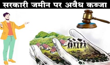 सरकारी जमीन पर नाजायज कब्जा, पूर्व पार्षद ने शासकीय भूमि पर बनाया खेत, गौशाला समिति ने तहसीलदार से की शिकायत