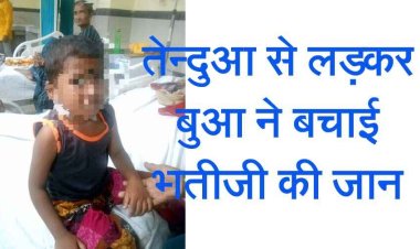 तेन्दुआ से लड़कर बुआ ने बचाई भतीजी की जान, बच्ची अस्पताल में भर्ती, इलाके में मची खलबली, पार्वती की हो रही तारीफ