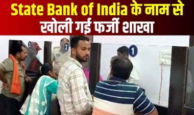 छत्तीसगढ़ में खुली स्टेट बैंक की फर्जी ब्रांच, पुलिस ने मारा छापा, भनक लगते ही मैनेजर फरार, 5 कर्मचारियों से पूछताछ जारी
