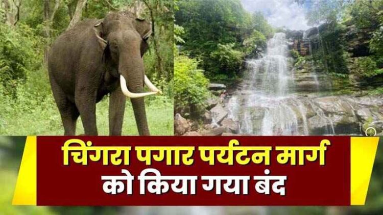 राजिम में दंतैल हाथी ने फिर दी दस्तक, पगार वाटरफॉल को भी किया गया बंद, गांवों में हाई अलर्ट जारी, वन विभाग करा रही मुनादी