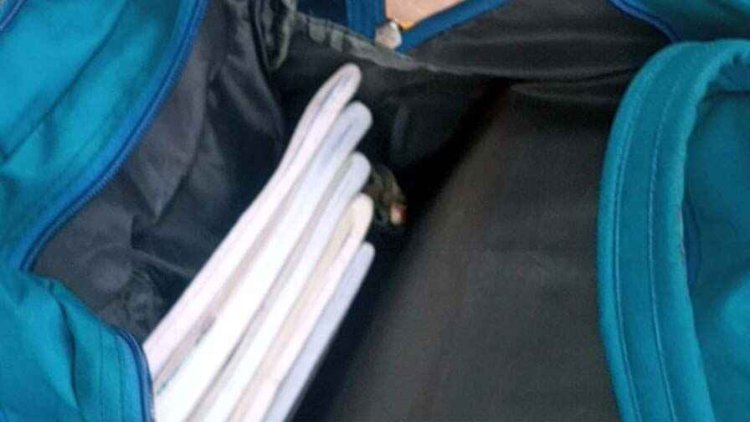 सावधानी बरतना बहुत जरुरी : छात्र ने किताब निकालने खोला बैग, अंदर से निकला खतरनाक जहरीला सांप, स्कूल में मचा हड़कंप, हादसा टला