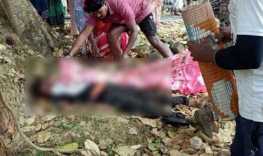 दर्दनाक सड़क हादसा, खेत से घर जा रहे युवक की तेज रफ्तार बाइक पेड़ से टकराई, मौके पर ही मौत, जांच में जुटी पुलिस