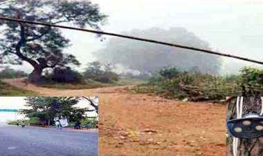 आदेश के 9 दिन बाद भी चेक पोस्ट से कर्मचारी नदारद, बांस बल्ली टांग बैरियर की खानापूर्ति, कैमरे की क्वालिटी भी खराब, ओडिशा के धान तस्करों को ग्रीन सिग्नल