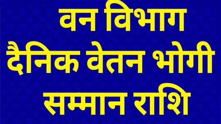 वन विभाग के 6100 दैनिक वेतन भोगी कर्मचारियों को हर महीने 4 हजार रुपए की दर से श्रम सम्मान राशि का किया जाएगा भुगतान