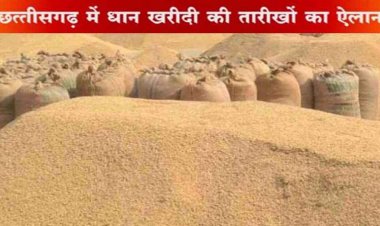 धान खरीदी के लिए सात दिन पहले कटाना होगा टोकन, लघु-सीमांत किसानों का 2 व बड़े किसानों का कटेगा 3 टोकन, औसत उत्पादन पर रखी जाएगी निगरानी