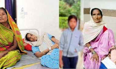 सर्पदंश के बढ़ रहे मामले, नागिन डांस के दौरान डांसर को सांप ने डसा, गली में खेल रही मासूम बच्ची और खेत में महिला को सर्प ने काटा