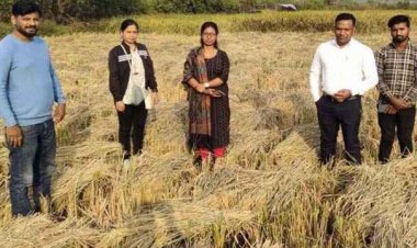 सरकारी जमीन में कब्जा कर खेती करने वालों के खिलाफ हुआ एक्शन, कलेक्टर ने दिया फसल पर की गई जब्ती की कार्यवाही का आदेश