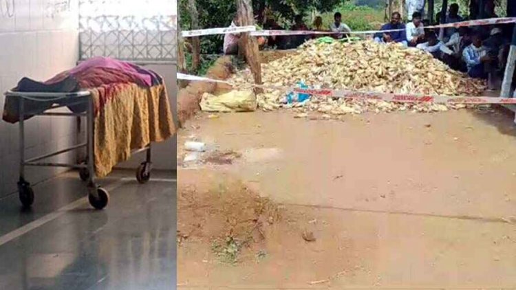 ‘गोवर्धन पूजा के लिए गोवंश को सजा लो’, पुत्र को नागवार गुजरी यह बात, पिता को बेरहमी से उतार दिया मौत के घाट, आरोपी कृष्ण कुमार गिरफ्तार