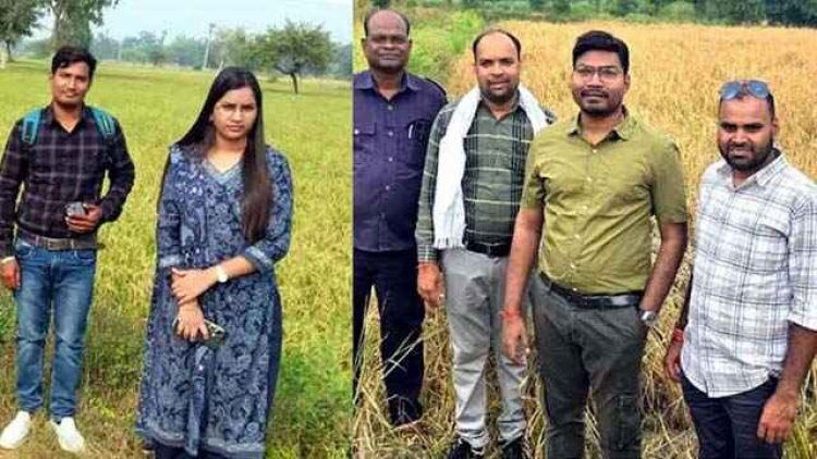 फसल गिरदावरी में लापरवाही पर गिरी गाज, बेमेतरा के एसडीएम ने लिया सख्त एक्शन, पटवारी श्रीमती अश्विनी भास्कर को किया सस्पेंड