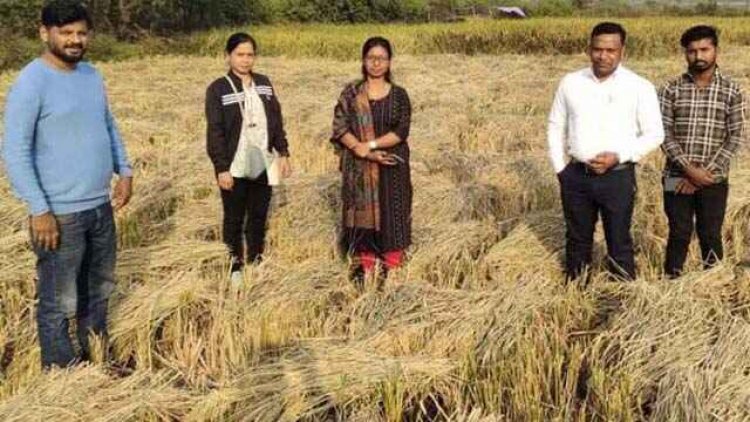 सरकारी जमीन में कब्जा कर खेती करने वालों के खिलाफ हुआ एक्शन, कलेक्टर ने दिया फसल पर की गई जब्ती की कार्यवाही का आदेश