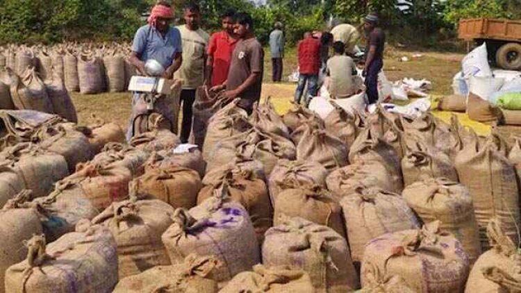 भाजपा की सरकार किसानों के साथ कर रहे खिलवाड़ -कुलदीप साहू, धान खरीदी को लेकर आमने-सामने आए भाजपा और कांग्रेस के नेता