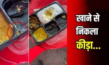 फॉरेस्ट गार्ड की भर्ती में परोसा गया घटिया खाना, ड्यूटी में तैनात जवान के खाने में निकला जिंदा कीड़ा, अफसरों पर चहेते ठेकेदार को टेंडर देने का आरोप