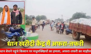 धान खरीदी केंद्र में मधुमक्खियों ने किया हमला, मची अफरा-तफरी, किसानों ने तालाब में कूदकर बचाई अपनी जान, 8 किसान घायल, खरीदी स्थगित