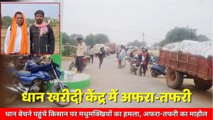 धान खरीदी केंद्र में मधुमक्खियों ने किया हमला, मची अफरा-तफरी, किसानों ने तालाब में कूदकर बचाई अपनी जान, 8 किसान घायल, खरीदी स्थगित