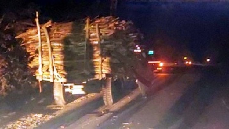 यूकेलिप्टस पेड़ की कटाई करने वालों की गाड़ी से गिरे मजदूर, ट्रक से टकराई राष्ट्रीय राज्यमार्ग में ट्रेक्टर, ओवरलोड बनी वजह