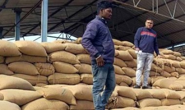 धान खरीदी केंद्र में गड़बड़ी, 6529 बोरी धान गायब, CCTV का DVR भी लापता, 14 प्रभारियों को नोटिस, 24 घण्टे के अंदर मांगा जवाब, 4 सस्पेंड