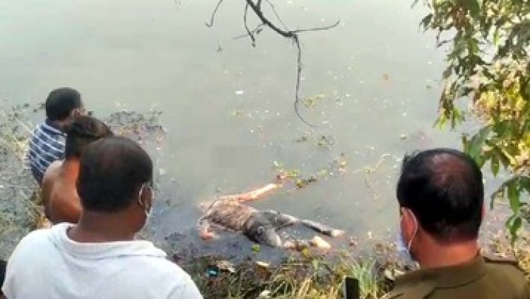 15 दिसंबर से लापता युवक की तालाब में सड़ी-गली हालत में मिली लाश, इलाके में मचा हडकंप, कत्ल-खुदकुशी या हादसा?, जांच में जुटी पुलिस
