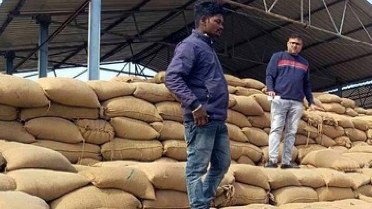 धान खरीदी केंद्र में गड़बड़ी, 6529 बोरी धान गायब, CCTV का DVR भी लापता, 14 प्रभारियों को नोटिस, 24 घण्टे के अंदर मांगा जवाब, 4 सस्पेंड