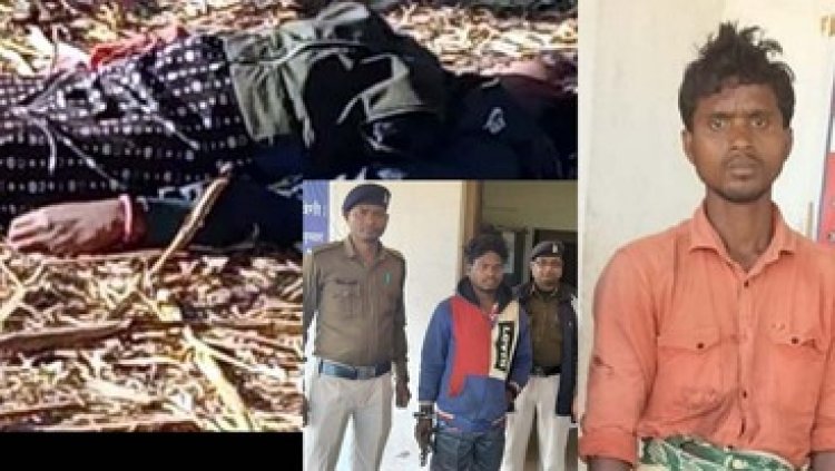 जशपुर जिले में जल्लाद पति ने प्राइवेट पार्ट में मूली और डंडा डालकर किया घायल, फिर पत्नी की गला दबाकर ले ली जान, आरोपी शनि राम गिरफ्तार