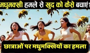 कबीरधाम में पिकनिक मनाने गए छात्राओं पर मधुमक्खियों ने किया हमला, 11 लोग अस्पताल में भर्ती, जानिए मधुमक्खी के हमले से कैसे बचें?