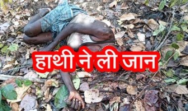 दंतैल हाथी के हमले से ग्रामीण की मौत, जंगल में मिला क्षत-विक्षत शव, वन विभाग पर लगा लापरवाही का आरोप, 11 किसान परेशान, उत्पात मचा रहा गजराज