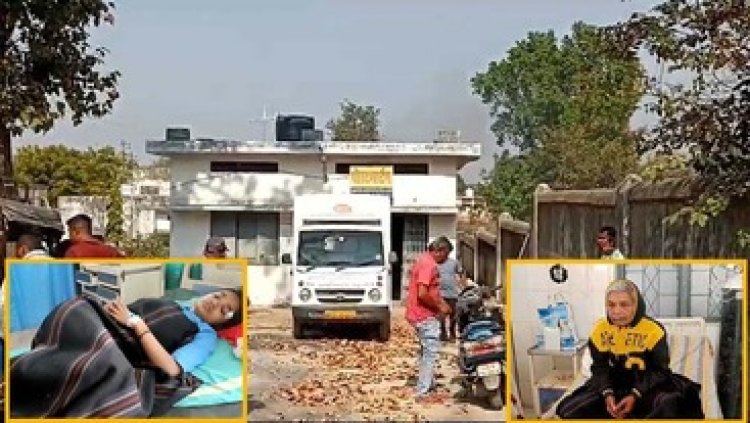 मधुमक्खियों के झुंड ने लोगों पर किया हमला, मचा हड़कंप, एक की मौत, 3 घायल, अस्पताल में चल रहा इलाज, शहर वासियों में दहशत का माहौल