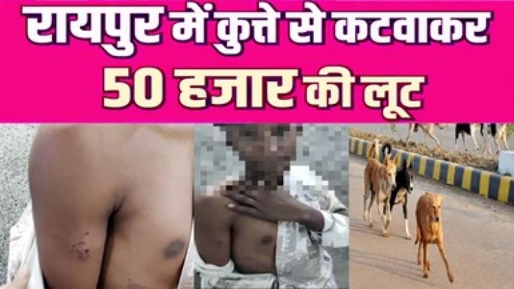 रायपुर में कुत्ते से कटवाकर 50 हजार की लूट, नाबालिग पेट्रोल खत्म होने पर पान ठेला में रुका, बदमाशों ने पीछे कुत्ता छोड़ा, जांच में जुटी पुलिस