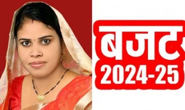 नवनिर्वाचित जनपद सदस्य धनेश्वरी डांडे ने छग की भाजपा सरकार के बजट पर नाराजगी जाहिर कर कहा- प्रदेश की जनता के साथ एक बार फिर छलावा