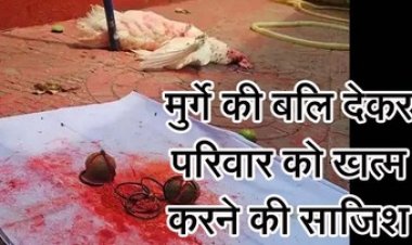 मुर्गे की बलि देकर परिवार को खत्म करने की साजिश, लोगों में दहशत का माहौल, शिकायत पर पुलिस ने कर रही मामले की जांच