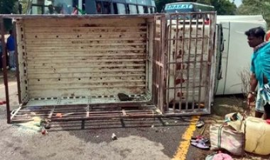 अमित शाह के प्रोग्राम में शामिल होने जा रही पिकअप पलटने से 2 की मौत, 30 ग्रामीण घायल, 6 गंभीर, हार्वेस्टर से टकराई कार, एक की गई जान