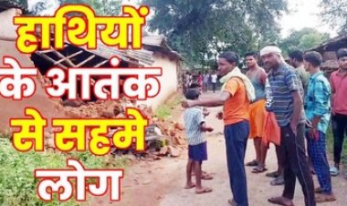 हाथियों ने मचाया उत्पात, 4 मकानों को तोड़ा, घर से भागकर गजराज से ग्रामीणों ने बचाई जान, गांव में दहशत का माहौल