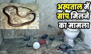 हॉस्पिटल के ऑपरेशन थिएटर से निकला सांप, डिलीवरी छोड़कर भागी नर्सेस, वॉश बेसिन, पाइप लाइन को बंद किया गया, स्वास्थ्य सेवाएं प्रभावित