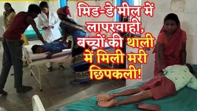 स्कूल के मध्यान्ह भोजन में मिली मरी छिपकली, खाना खाने के बाद 65 बच्चों की तबीयत बिगड़ी, मचा हडकंप, अस्पताल में चल रहा इलाज