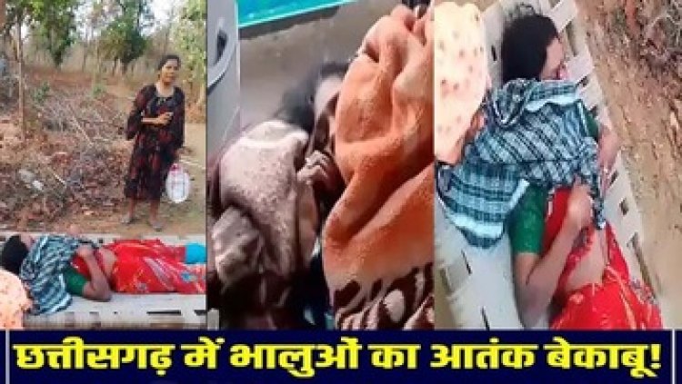 भालू ने मचाया आतंक, तीन महिलाओं पर भालुओं ने किया जानलेवा हमला, एक महिला की हालत नाजुक, मचा हड़कंप, गांव में दहशत का माहौल