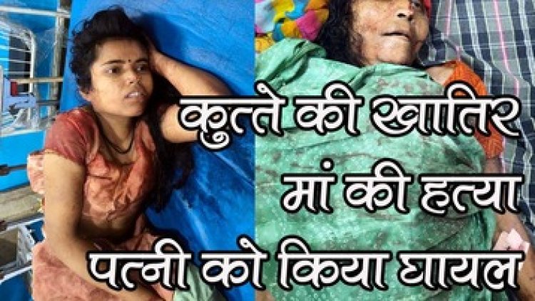 कुत्ता खरीदने पैसा नहीं देने पर हथौड़ी से बेटे ने हथौडा से किया जानलेवा हमला, मां की मौत, पत्नी घायल, हालत नाजुक, आरोपी फरार