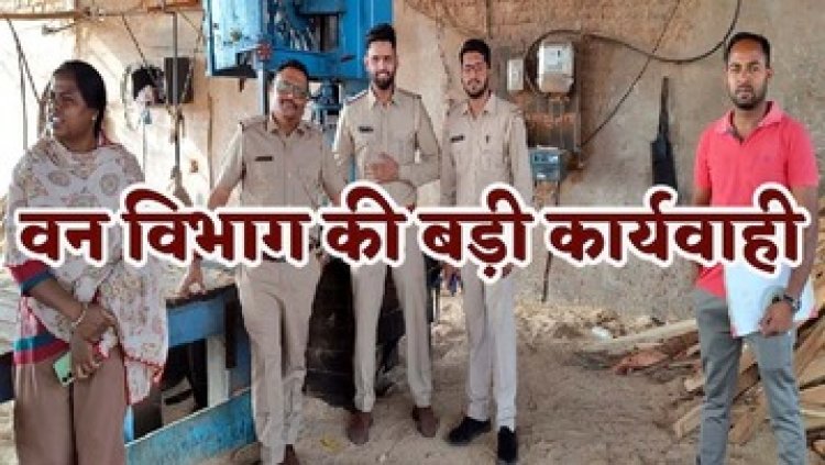 अभनपुर में वन विभाग का बड़ा एक्शन, महाराष्ट्र की लकड़ी की आढ़ में प्रतिबंधित अर्जुन लकड़ी काटने पर जप्ती की कार्रवाई, आरा मिल सील