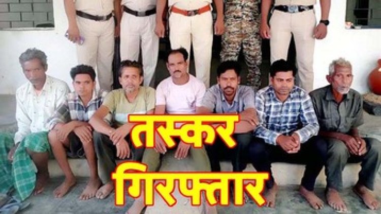 98 मवेशियों को जंगल के रास्ते मारते बुचड़खाने ले जा रहे 7 मवेशी तस्करों को पुलिस ने गिरफ्तार कर भेजा सलाखों के पीछे