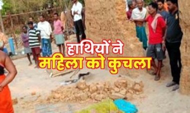 घर के बाहर सो रही महिलाओं को हाथी ने कुचला, सूंड से उठाकर पटका, 2 की दर्दनाक मौत, गांव में दहशत का माहौल, लोगों से सतर्क रहने की अपील