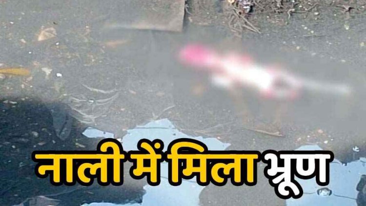 नाली से मिला 4 महीने का भ्रूण, इलाके में मचा हड़कंप, पुलिस कर रही जांच, गर्भपात के बाद भ्रूण को ठिकाने लगाने की आशंका