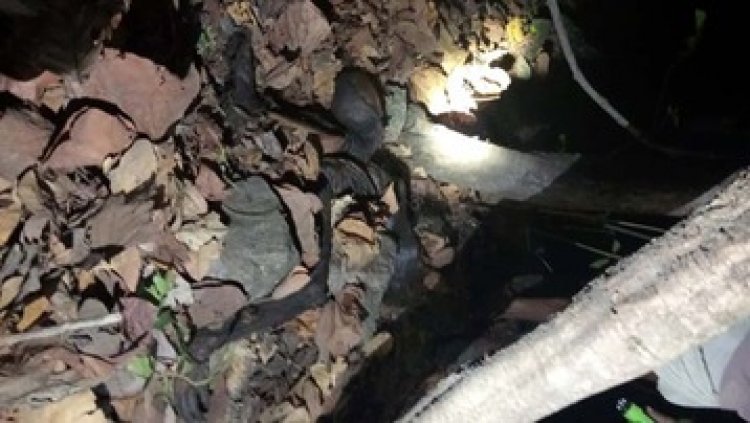 6 महीने से लापता ग्रामीण की मिली लाश, इलाके में फैली सनसनी, मौके पर पहुंची आला अधिकारियों की टीम, जांच में जुटी पुलिस