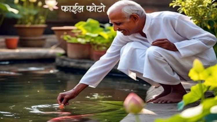 तालाब में मछलियों को चारा खिलाना 75 साल के बुजुर्ग को पड़ा भारी, पैर फिसला, गिरने से हुई मौत, परिवार में पसरा मातम