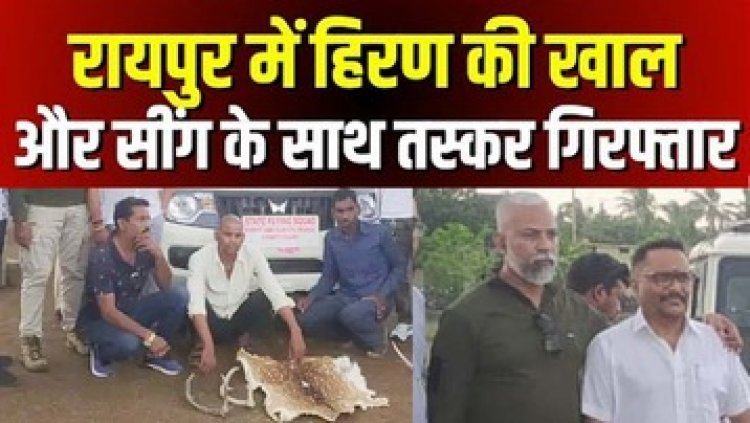 रायपुर में हिरन और चीतल की खाल के साथ तस्कर गिरफ्तार, ग्राहक तलाश रहे तीन आरोपियों को वन विभाग ने रंगे हाथ दबोचा