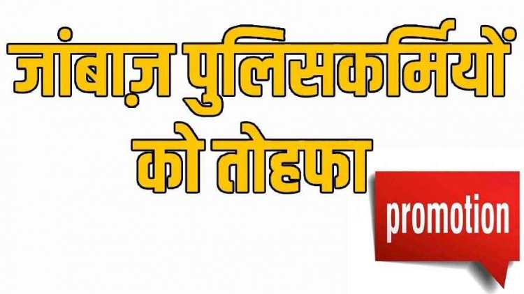 नक्सलियों से बहादुरी से लड़े 295 जवानों को मिला आउट ऑफ टर्न प्रमोशन, शौर्य-साहस के लिए मिला सम्मान, डीजीपी ने जारी किया आदेश