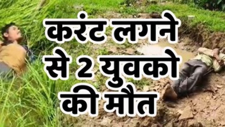 खेत में करंट लगने से 2 किसानों की मौत, फसल को मवेशियों से बचाने लगाया तार, रात में आए चपेट में आए ग्रामीण, जांच ने जुटी पुलिस