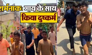 रायपुर में गौ माता के साथ दुष्कर्म, आक्रोशित लोगों ने युवक को अर्धनग्न कर निकाला जुलूस, सोशल मीडिया में वीडियो जमकर वायरल